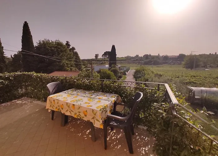 Bedbardolino * Bardolino